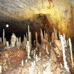 Rumunia - wapienne stalaktyty i stalagmity w Jaskini Niedźwiedziej